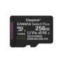 Kingston MicroSDXC Canvas Select Plus 256 GB