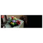 LEGO Icons 10309 Suculentas