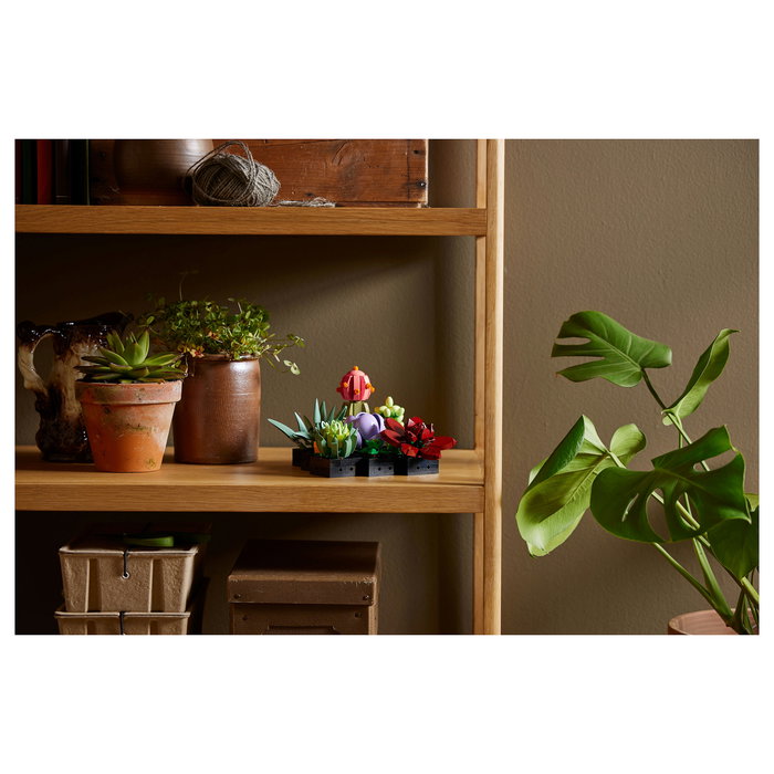 LEGO Icons 10309 Creator Expert Sukkulenten - Juego de Construcción Botanicals Suculentas, 771 Piezas, Multicolor, Apto desde 18 Años