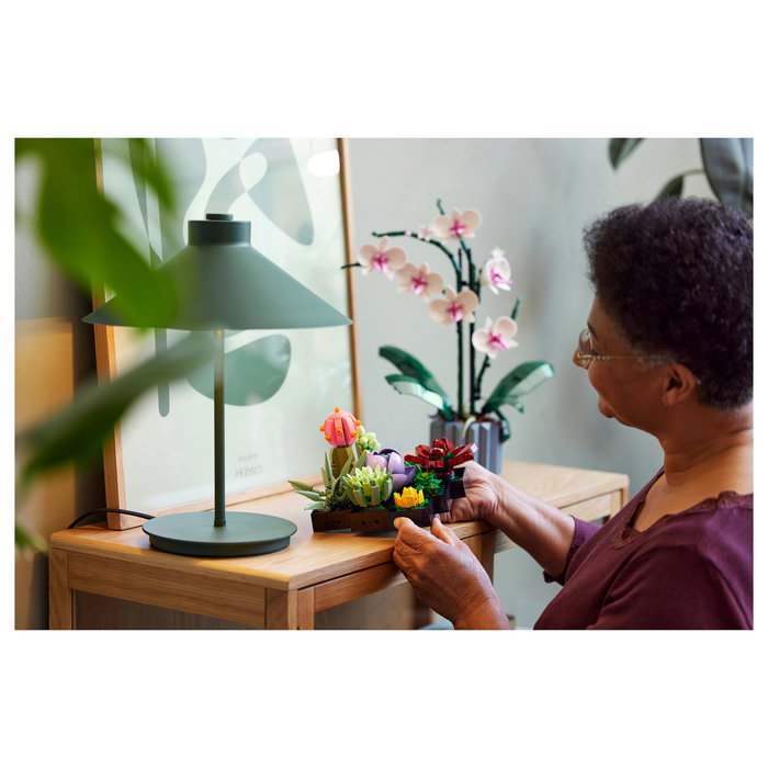 LEGO Icons 10309 Creator Expert Sukkulenten - Juego de Construcción Botanicals Suculentas, 771 Piezas, Multicolor, Apto desde 18 Años