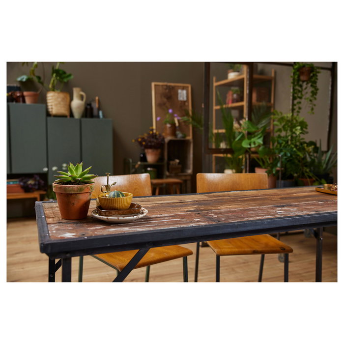 LEGO Icons 10309 Creator Expert Sukkulenten - Juego de Construcción Botanicals Suculentas, 771 Piezas, Multicolor, Apto desde 18 Años