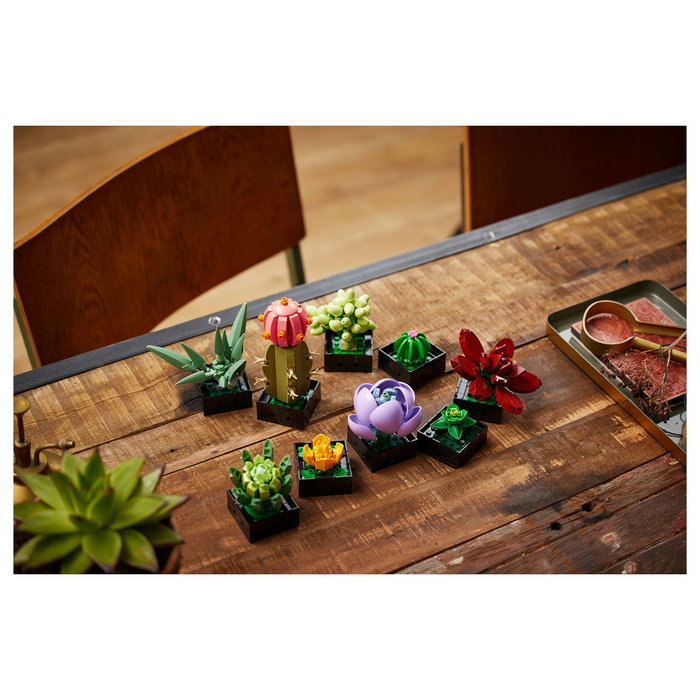 LEGO Icons 10309 Creator Expert Sukkulenten - Juego de Construcción Botanicals Suculentas, 771 Piezas, Multicolor, Apto desde 18 Años