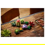 LEGO Icons 10309 Creator Expert Sukkulenten - Juego de Construcción Botanicals Suculentas, 771 Piezas, Multicolor, Apto desde 18 Años