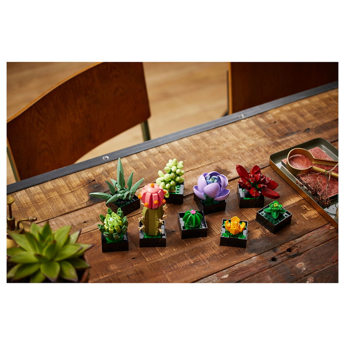 LEGO Icons 10309 Creator Expert Sukkulenten - Juego de Construcción Botanicals Suculentas, 771 Piezas, Multicolor, Apto desde 18 Años