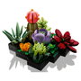 LEGO Icons 10309 Suculentas