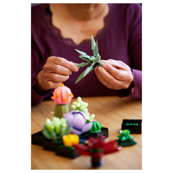 LEGO Icons 10309 Creator Expert Sukkulenten - Juego de Construcción Botanicals Suculentas, 771 Piezas, Multicolor, Apto desde 18 Años