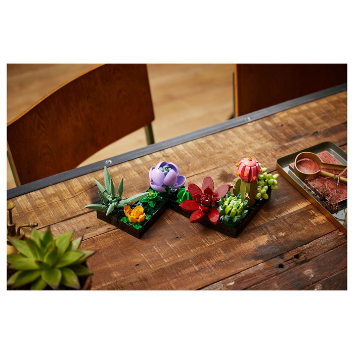 LEGO Icons 10309 Creator Expert Sukkulenten - Juego de Construcción Botanicals Suculentas, 771 Piezas, Multicolor, Apto desde 18 Años