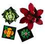 LEGO Icons 10309 Suculentas