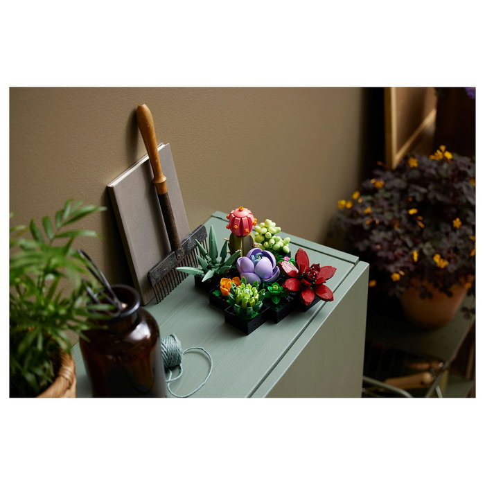 LEGO Icons 10309 Creator Expert Sukkulenten - Juego de Construcción Botanicals Suculentas, 771 Piezas, Multicolor, Apto desde 18 Años