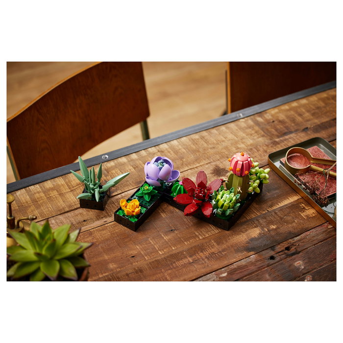 LEGO Icons 10309 Creator Expert Sukkulenten - Juego de Construcción Botanicals Suculentas, 771 Piezas, Multicolor, Apto desde 18 Años