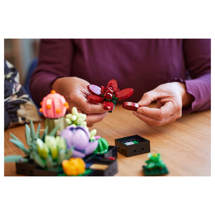LEGO Icons 10309 Creator Expert Sukkulenten - Juego de Construcción Botanicals Suculentas, 771 Piezas, Multicolor, Apto desde 18 Años