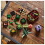 LEGO Icons 10309 Creator Expert Sukkulenten - Juego de Construcción Botanicals Suculentas, 771 Piezas, Multicolor, Apto desde 18 Años
