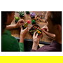 LEGO Icons 10309 Creator Expert Sukkulenten - Juego de Construcción Botanicals Suculentas, 771 Piezas, Multicolor, Apto desde 18 Años