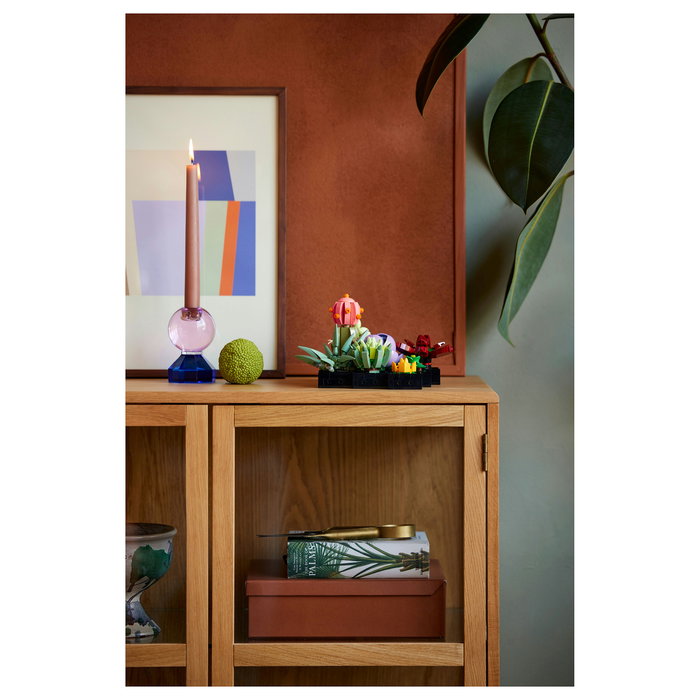 LEGO Icons 10309 Creator Expert Sukkulenten - Juego de Construcción Botanicals Suculentas, 771 Piezas, Multicolor, Apto desde 18 Años