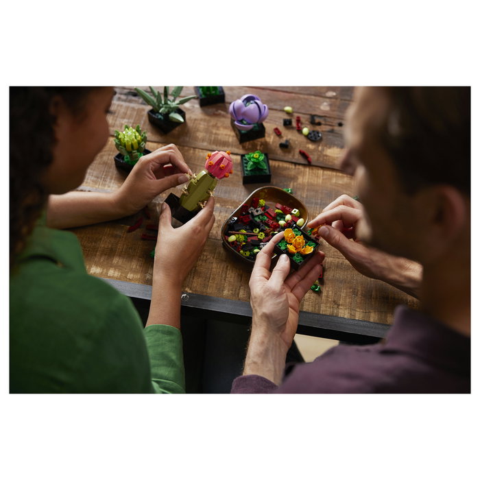 LEGO Icons 10309 Suculentas