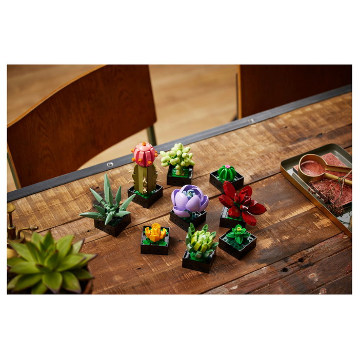 LEGO Icons 10309 Creator Expert Sukkulenten - Juego de Construcción Botanicals Suculentas, 771 Piezas, Multicolor, Apto desde 18 Años