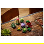 LEGO Icons 10309 Creator Expert Sukkulenten - Juego de Construcción Botanicals Suculentas, 771 Piezas, Multicolor, Apto desde 18 Años