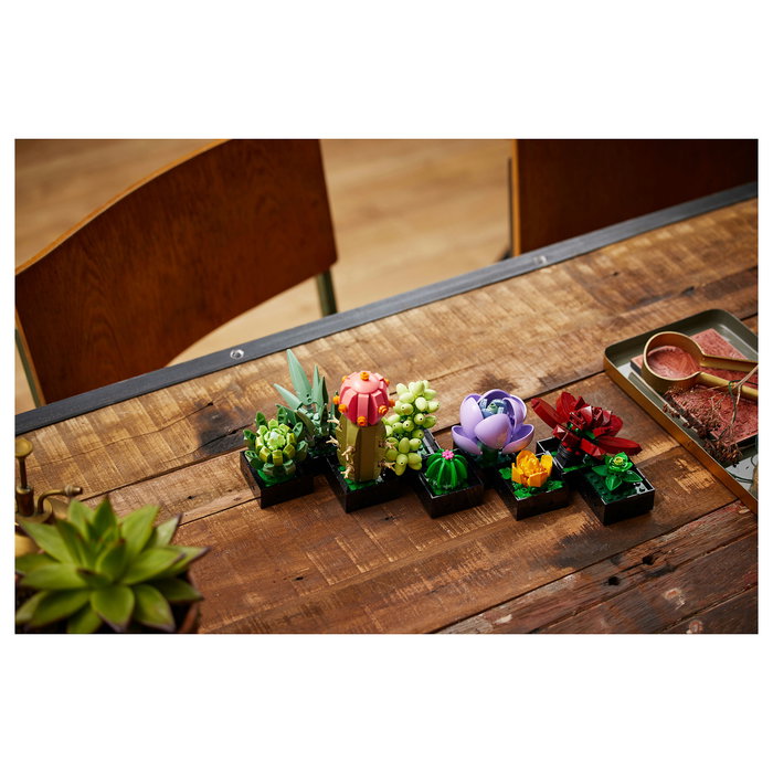 LEGO Icons 10309 Creator Expert Sukkulenten - Juego de Construcción Botanicals Suculentas, 771 Piezas, Multicolor, Apto desde 18 Años