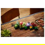 LEGO Icons 10309 Creator Expert Sukkulenten - Juego de Construcción Botanicals Suculentas, 771 Piezas, Multicolor, Apto desde 18 Años
