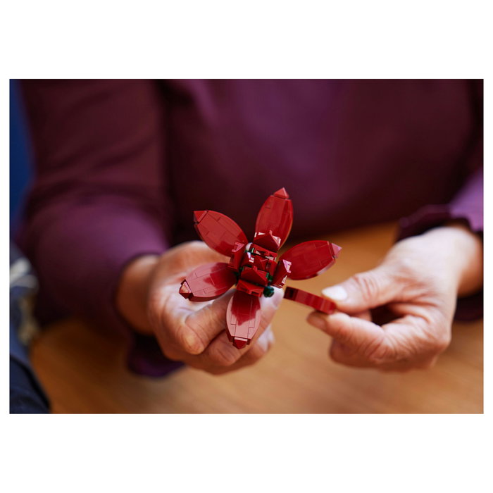 LEGO Icons 10309 Creator Expert Sukkulenten - Juego de Construcción Botanicals Suculentas, 771 Piezas, Multicolor, Apto desde 18 Años