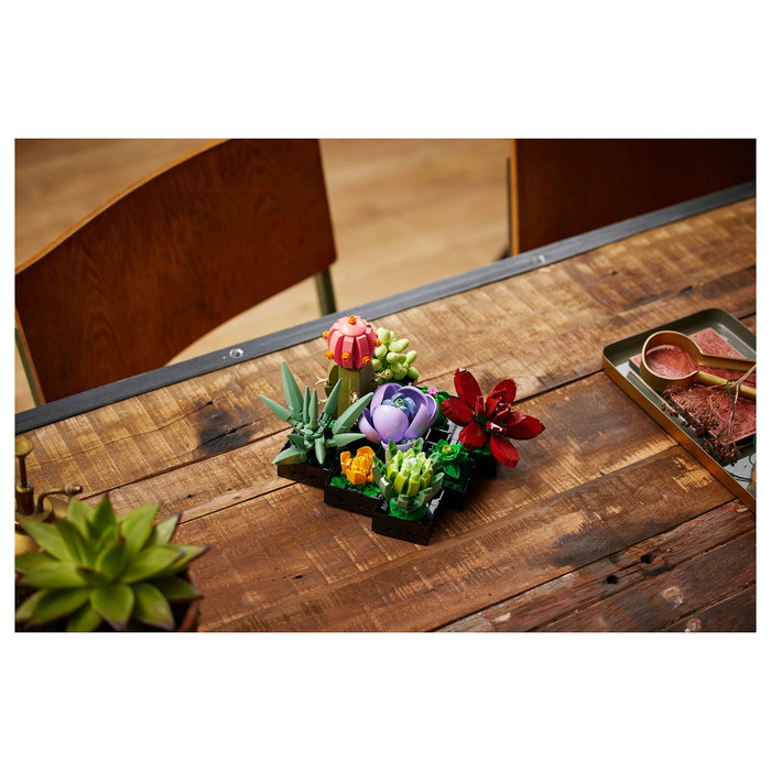 LEGO Icons 10309 Creator Expert Sukkulenten - Juego de Construcción Botanicals Suculentas, 771 Piezas, Multicolor, Apto desde 18 Años