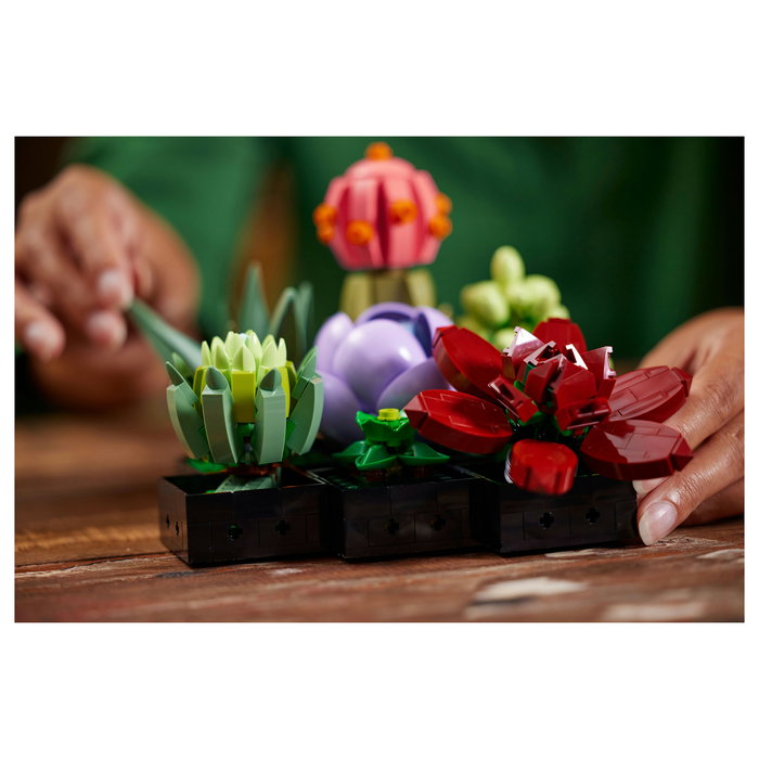 LEGO Icons 10309 Creator Expert Sukkulenten - Juego de Construcción Botanicals Suculentas, 771 Piezas, Multicolor, Apto desde 18 Años