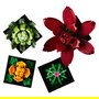 LEGO Icons 10309 Creator Expert Sukkulenten - Juego de Construcción Botanicals Suculentas, 771 Piezas, Multicolor, Apto desde 18 Años