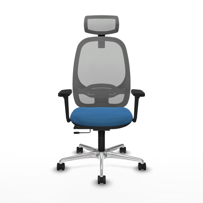PIQUERAS Y CRESPO Silla de oficina Cilanco con mecanismo Sincro/Traslack, Azul claro y Gris PIQUERAS Y CRESPO Silla de oficina Cilanco con mecanismo Sincro/Traslack, Azul claro y Gris