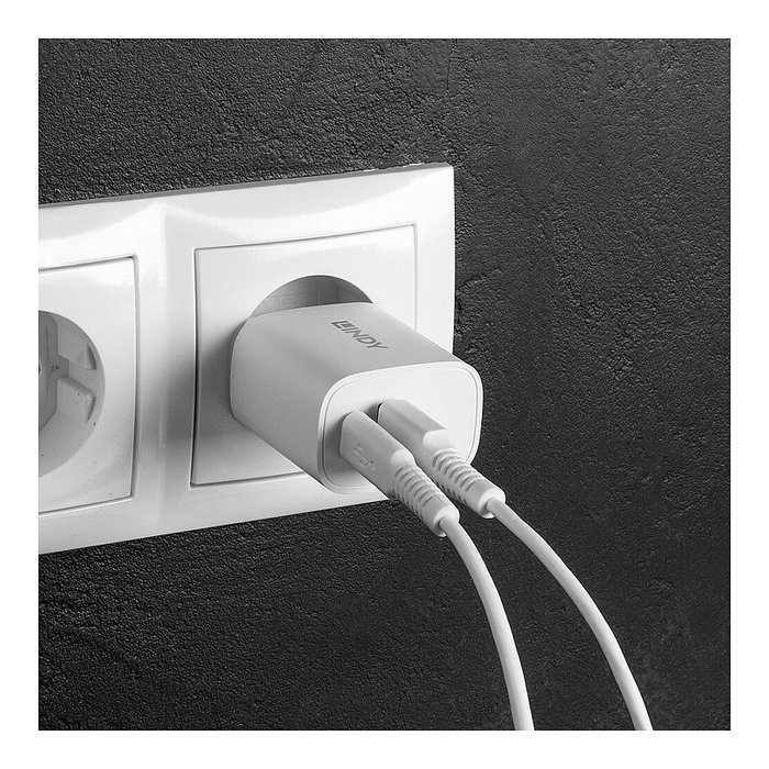 Lindy 73413 Cargador USB Tipo A y C 20W Blanco Lindy 73413 Cargador USB Tipo A y C 20W Blanco