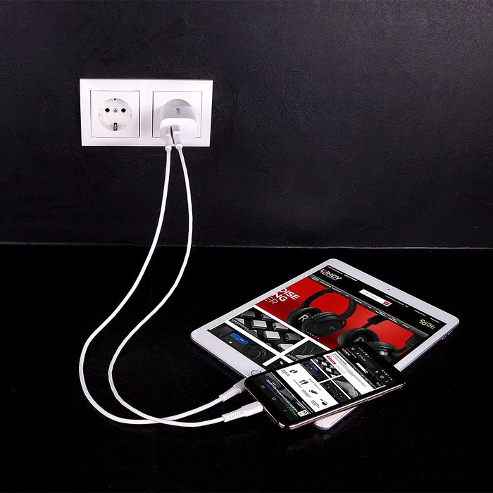 Lindy 73413 Cargador USB Tipo A y C 20W Blanco Lindy 73413 Cargador USB Tipo A y C 20W Blanco