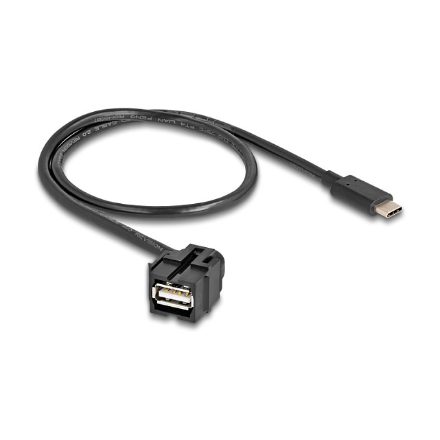 DeLOCK Módulo Keystone USB 2.0 A hembra a USB Type-C™ macho con cable 0,5 m