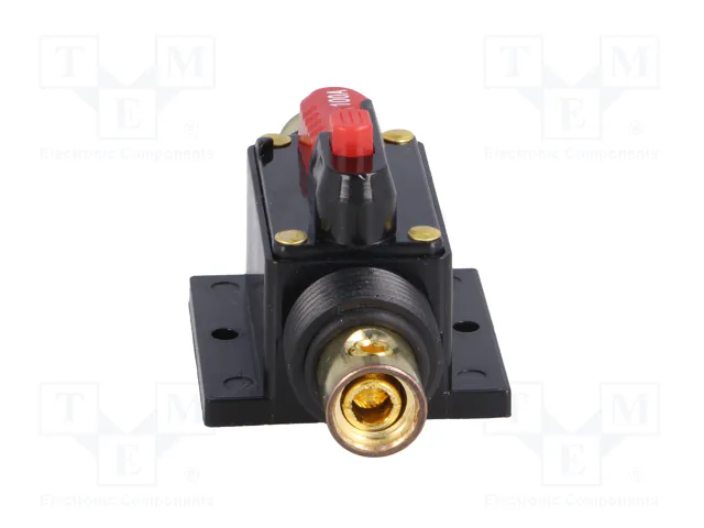 4CARMEDIA Fusible Automático de Coche 100A Retardado 4CARMEDIA Fusible Automático de Coche 100A Retardado