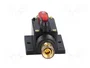 4CARMEDIA Fusible Automático de Coche 100A Retardado