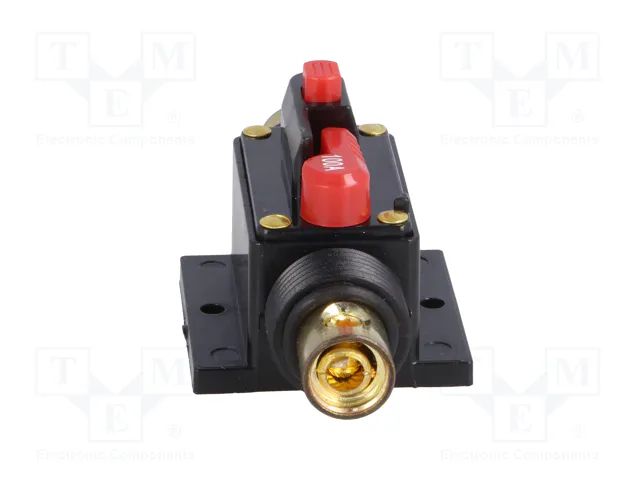 4CARMEDIA Fusible Automático de Coche 100A Retardado 4CARMEDIA Fusible Automático de Coche 100A Retardado