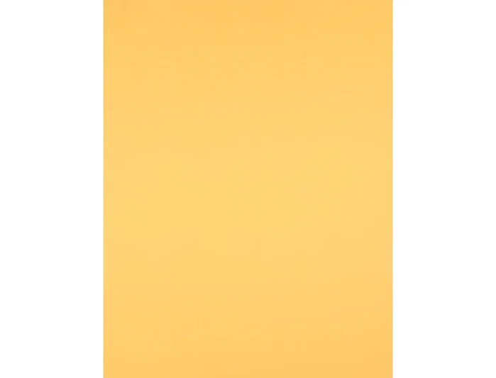 Liderpapel Cartulina Oro 50x65 cm 240 g Liderpapel Cartulina Oro 50x65 cm 240 g