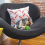 Petsafe Busy Buddy Elephunk Med-LG