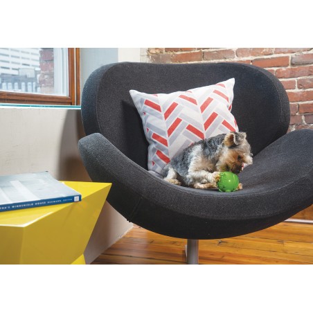 Petsafe Busy Buddy Elephunk Juguete Interactivo para Perros M-L