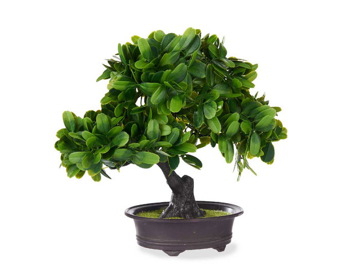 Ibergarden Bonsai Plástico Flores Verdes Marrón y Verde 27x28x14 cm (Set de 8)