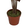 Ixia Planta de Polietileno Jardín Cordyline 170 cm