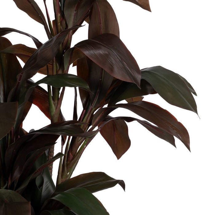 Ixia Planta de Polietileno Jardín Cordyline 170 cm