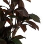 Ixia Planta de Polietileno Jardín Cordyline 170 cm