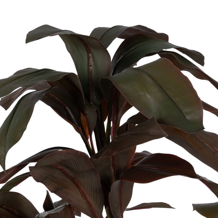 Ixia Planta de Polietileno Jardín Cordyline 170 cm