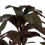 Ixia Planta de Polietileno Jardín Cordyline 170 cm