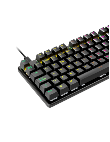 Newskill Serike TKL V2 Teclado Gaming Mecánico Tenkeyless 88 Teclas Aluminio RGB Switches NewSwitch Rojos Intercambiables Hot-Swap ISO Español Newskill Serike TKL V2 Teclado Gaming Mecánico Tenkeyless 88 Teclas Aluminio RGB Switches NewSwitch Rojos Intercambiables Hot-Swap ISO Español
