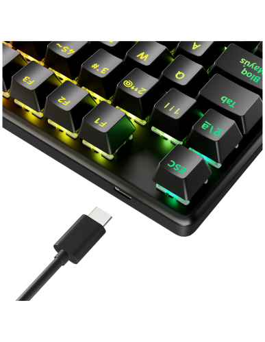 Newskill Serike TKL V2 Teclado Gaming Mecánico Tenkeyless 88 Teclas Aluminio RGB Switches NewSwitch Rojos Intercambiables Hot-Swap ISO Español Newskill Serike TKL V2 Teclado Gaming Mecánico Tenkeyless 88 Teclas Aluminio RGB Switches NewSwitch Rojos Intercambiables Hot-Swap ISO Español