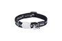 Red Dingo Collar para Gato RD Style Ajustable Diamond Negro 20-32 cm 12 mm con Cierre de Seguridad y Apertura Rápida