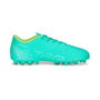 Botas de Fútbol para Niños Puma 38,5