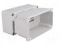 ELEKTRO-PLAST NASIELSK Carcasa Universal Industrial IP65 Gris