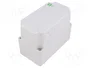 ELEKTRO-PLAST NASIELSK Carcasa Universal Industrial IP65 Gris