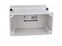 ELEKTRO-PLAST NASIELSK Carcasa Universal Industrial IP65 Gris